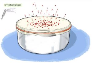 source of sound vibration