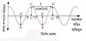 a transverse wave