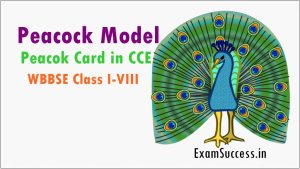 Peacock Model In Education & Peacok Card in CCE Class I-VIII