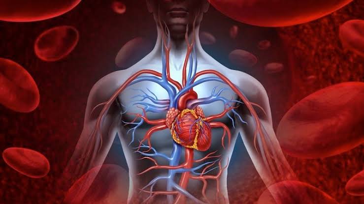 How to Increase Hemoglobin Levels in Your Body